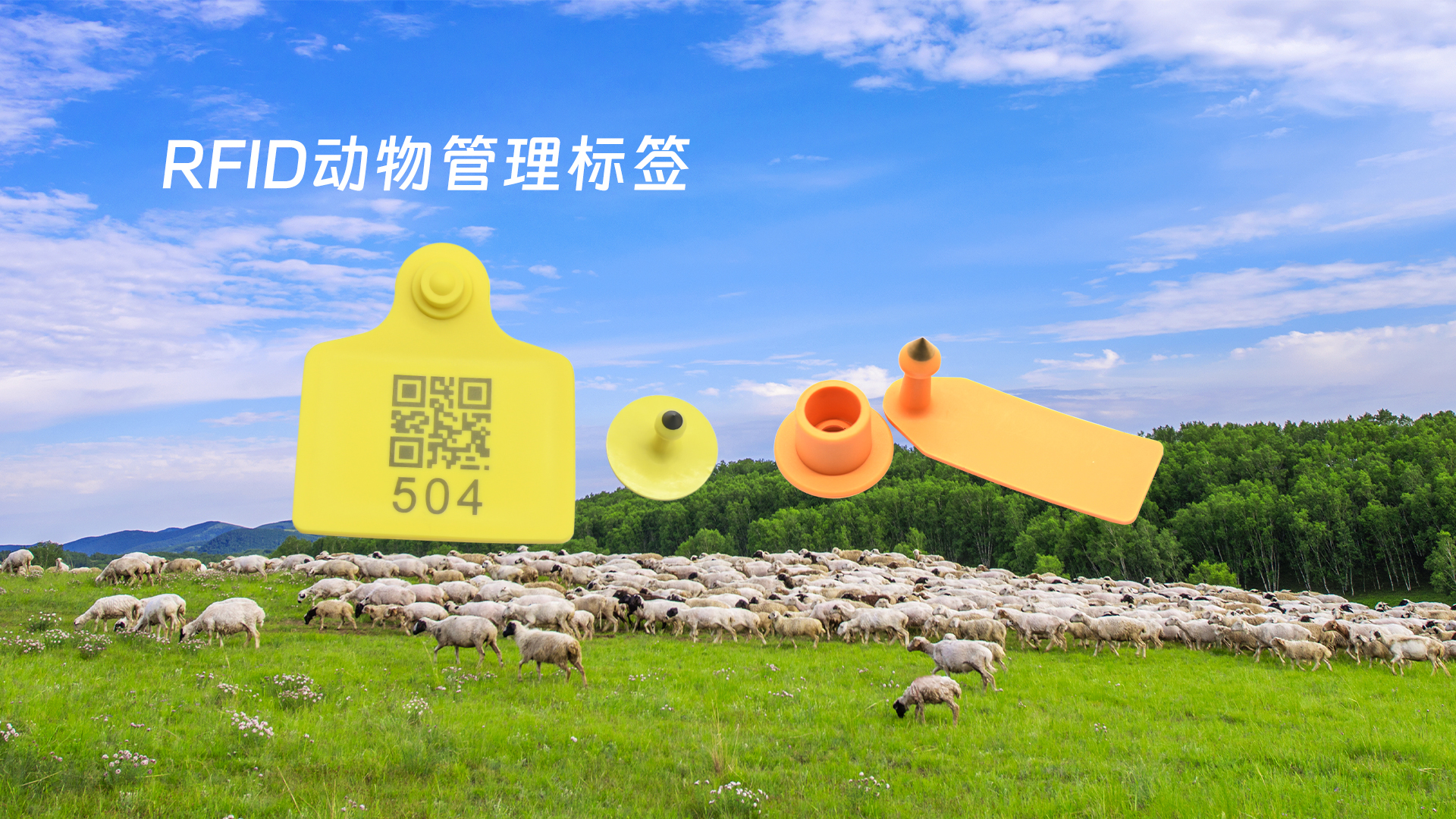 微信图片_20250319133626 微信图片_20250319133626