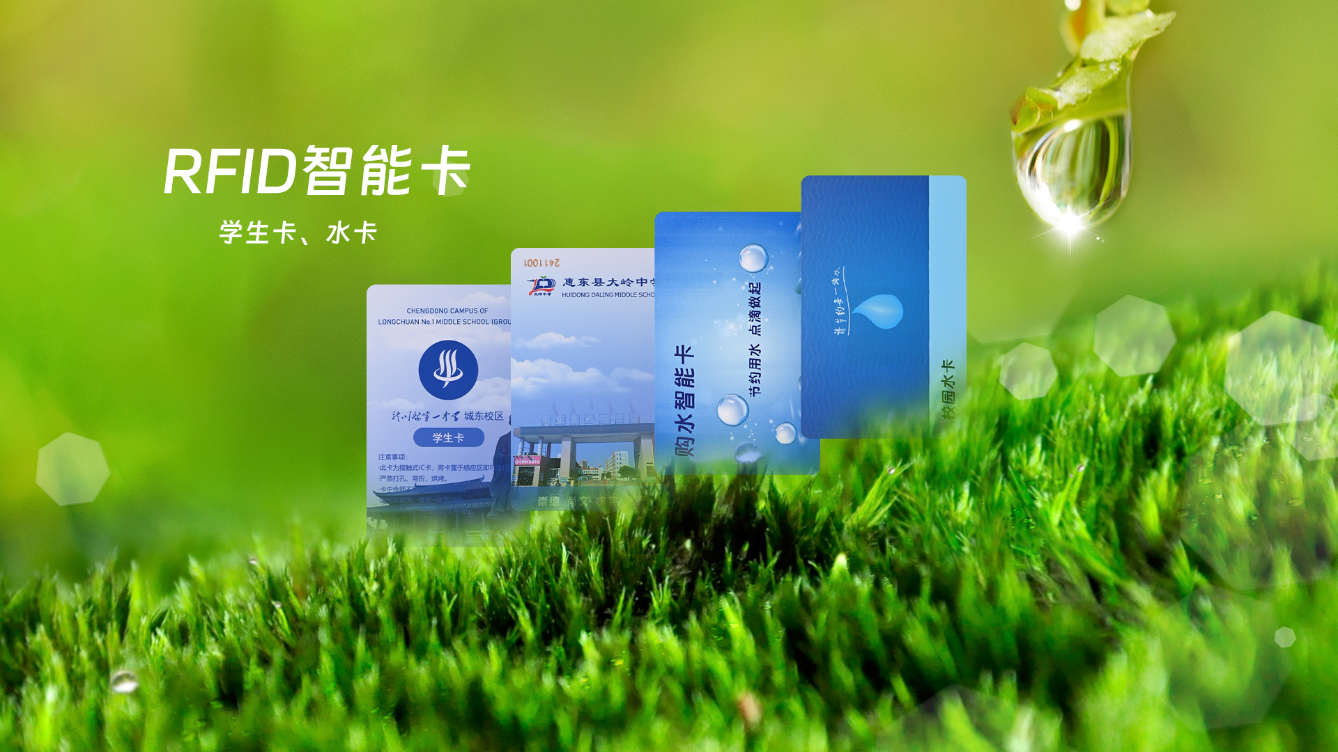 微信图片_20250328150536 微信图片_20250328150536